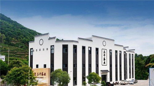 三千茶業(yè)中國茶業(yè)連鎖頭部品牌,領略中國茶文化魅力