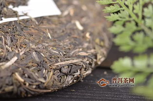 石雨益昌號滑竹梁子 總有一種西雙版納巔峰的味道讓你無法忘懷 產(chǎn)品新聞,普洱茶產(chǎn)品新聞,新品上市新聞 普洱茶網(wǎng)